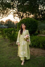 The Muse Collection